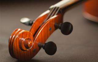Geigenkopf, Foto: pixabay, Pexels